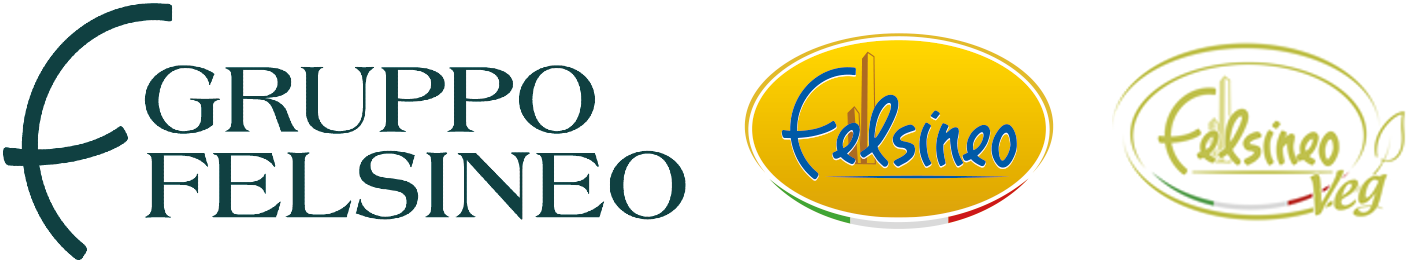 logo ente